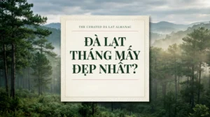 Đà Lạt tháng mấy đẹp nhất