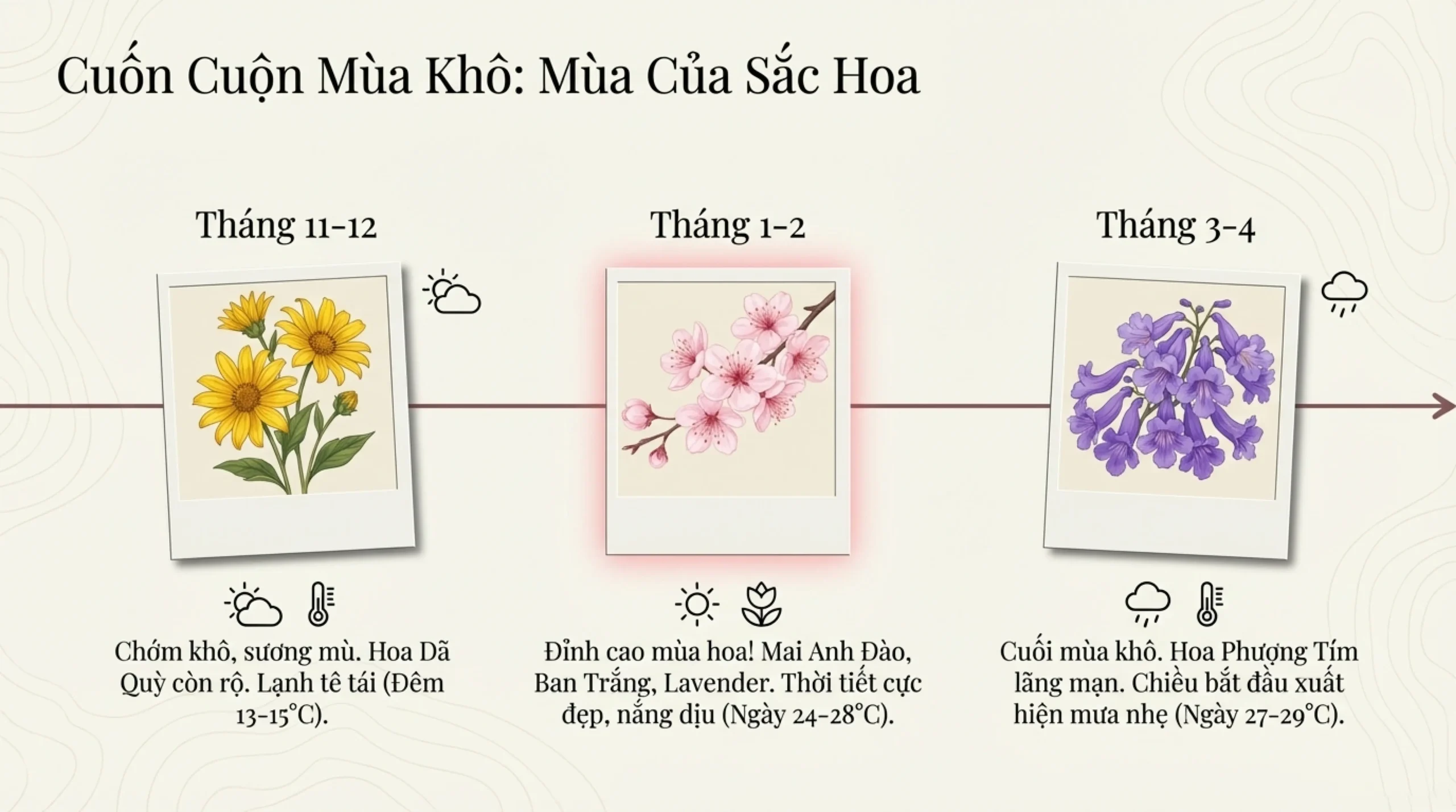 Đà Lạt tháng mấy đẹp nhất
