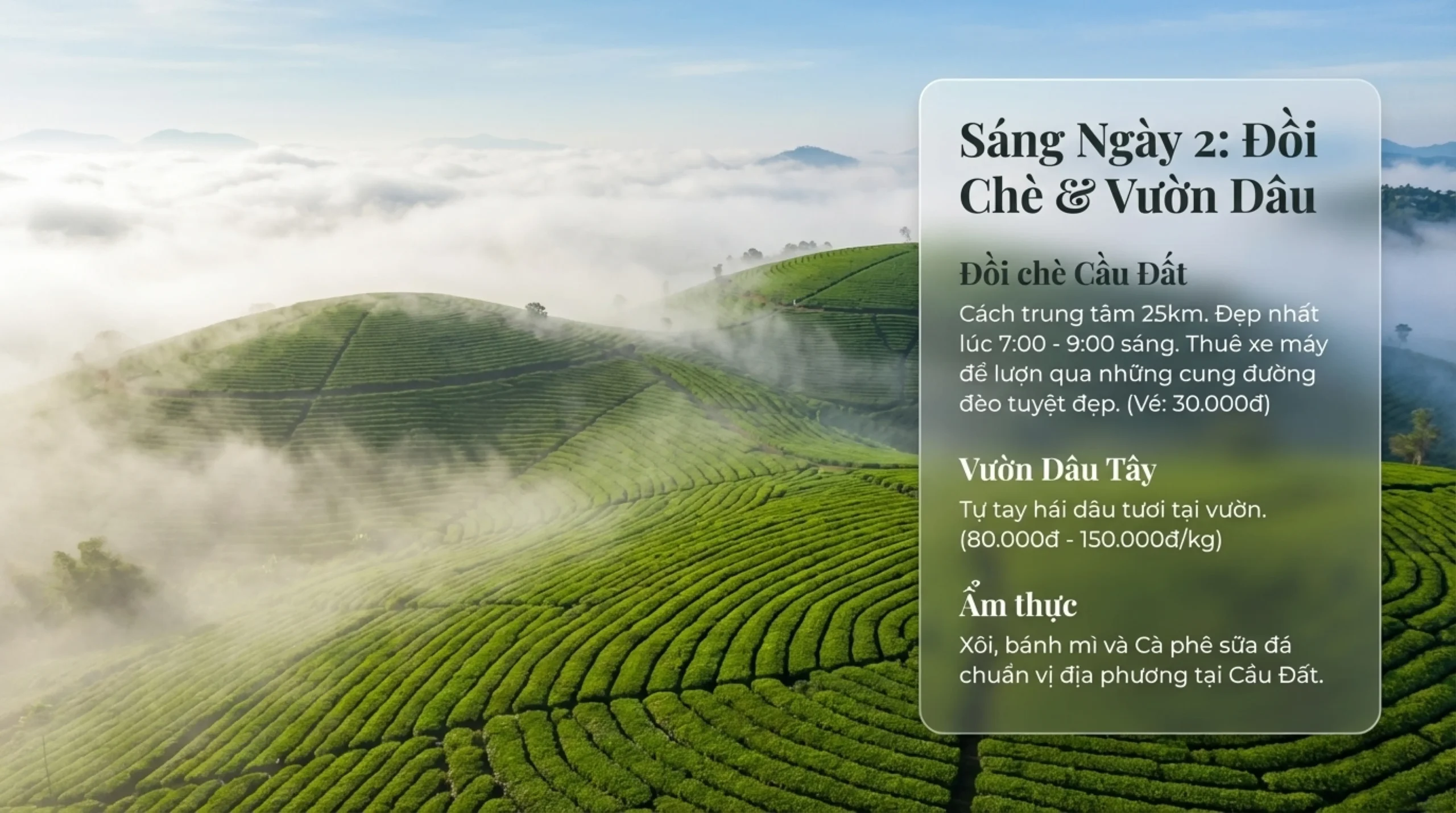 Lịch trình Đà Lạt 2 ngày 1 đêm – khung cảnh đồi 