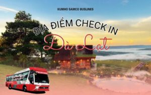 Địa điểm check in Đà Lạt mới nổi năm 2025 - Kumho Samco Buslines